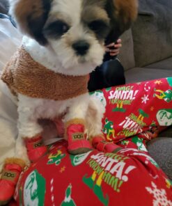 WINSOON Dog Australia Boots Pet Antiskid Shoes Winter Warm Skidproof Sneakers Paw Protectors 4-pcs Set (Size 4, Pink) Size 4 43 71 wpbk4mpL