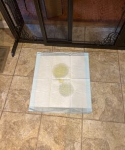 Amazon Basics Dog and Puppy Pee Pads with Leak-Proof Quick-Dry Design for Potty Training, Standard Absorbency, Regular Size, 22 x 22 Inches, Pack of 100, Blue & White Unscented Regular (100 Count) 30 71 zpdWrQwL