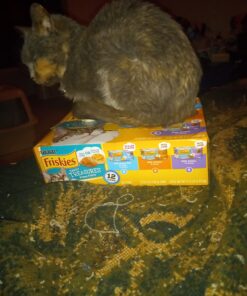 Purina Friskies Gravy Wet Cat Food Variety Pack, Tasty Treasures Prime Filets - 5.5 Ounce (Pack of 12) 5.5 Ounce (Pack of 12) 30 710 cn33GEL 1