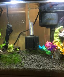 CaribSea Eco-Complete 20-Pound Planted Aquarium, Black 20 POUNDS 27 7103fKP2QGL