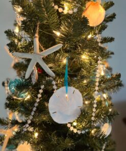 Tumbler Home White Sand Dollars 3"-3.5" - 10pcs - Wedding Seashell Craft Sandollars- Hand Picked and Professionally Packed 36 7105oy6SFKL