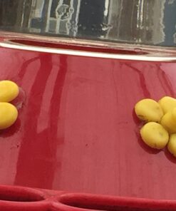 Perky-Pet 202F Replacement Yellow Feeder Flowers 3W x .77D ins. 13 7106nGpi2L