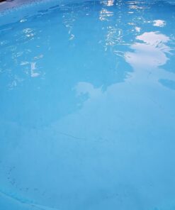 Intex Recreation Corp 28001E Intex Auto Pool Cleaner, 1 Pack, Grey Above Ground 43 7107hxnYVpL