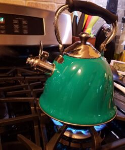 Mr. Coffee Alderton Tea Kettle, 2.3 Quarts, Green 24 7108SdaY1lL