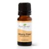 Plant Therapy Worry Free Essential Oil Blend 10 mL (1/3 oz) Calming Relief Blend 100% Pure, Undiluted, Natural Aromatherapy, Therapeutic Grade 0.34 Fl Oz (Pack of 1)