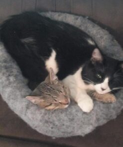 K. T. Manufacturing Mysterious Kuddle Kup Cat Bed, White 27 710CMS1qUGL