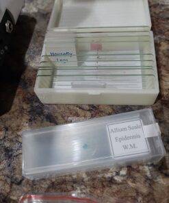 AmScope M162C-2L-PB10-WM-SP14-50P100S 40X-1000X Beginners Microscope Kit for Kids & Students w/Complete Science Accessory Kit + World of The Microscope Book 61 710D3E7WaL 1