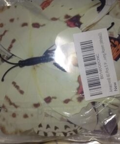 Amaonm® 60 Pcs 5 Packages Beautiful 3D Butterfly Wall Decals Removable DIY Home Decorations Art Decor Wall Stickers & Murals for Babys Bedroom Tv Background Living Room (White2) White2 39 710ESG8W13L