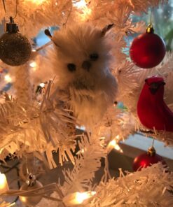 Kurt Adler C2289 5.1" Silver Hanging Owl Christmas Ornament 2 Assorted 41 710GgAEwaPL