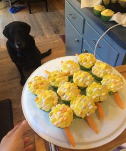 Signature Jelly Belly Jelly Beans, 4-Pound 31 710GilRaGdL