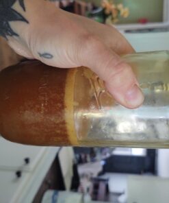 Pink Stork Liquid Prenatal + Postnatal Vitamins for Women with Organic Whole Food Blend, Folate, and Vitamin B6 for Pregnancy and Postpartum - Mixed Berry 32 Servings 31 710IcpzKLeL