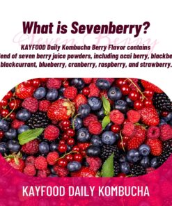 KAYFOOD Daily Kombucha Powder Tea 5g x 20 sticks (100g/3.52oz) with Bottle Sugar Free Diet Tea (SevenBerry Bottle Set) SevenBerry Bottle Set 8.45 Ounce (Pack of 20) 17 710IrAEfoFL