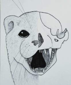 Copic Markers Multiliner Gray Pigment Based Ink, 4-Piece Set Cool Gray Alcohol Solid 15 710IzqENzxL