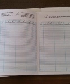 Spencerian Cursive Copybook Set Plus Theory 61 710JoB1xE4L