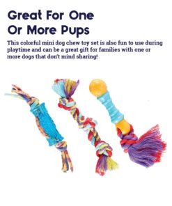 Petstages Orka Mini Dental Dog Chew Toys - 3 Pack Dental Chew 3 Pk 27 710KalSjaPL