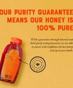 Nate's 100% Pure, Raw & Unfiltered Honey - Award-Winning Taste, 32oz. Squeeze Bottle 32 Ounce (Pack of 1) 29 710Of48DtnL