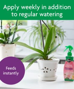 Miracle-Gro Ready-To-Use Orchid Plant Food Mist, 8 oz., Feeds Plants Instantly, 1 Pack 36 710Q6bsTLtL