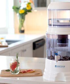 Ceramic Pre-filter Replacement by Santevia | Designed for Santevia's Gravity Water System | Removes Particles From Water | 0.3 Micron Pore Size 10 710TsbCe3SS