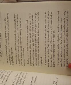 Wicca Herbal Magic: A Beginner’s Guide to Practicing Wiccan Herbal Magic, with Simple Herb Spells (Wicca for Beginners Series) Paperback 20 710V5tzk9KL