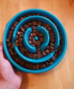 Outward Hound Fun Feeder Slo Bowl, Slow Feeder Dog Bowl, Medium/Mini, Turquoise 30 710X7l3wB9L 1