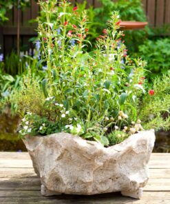 Bosmere SPT-06TCCS, Terra-Cotta (Pack of 6) Pot Toes Pack of 6 8 710Xtu11ZoL