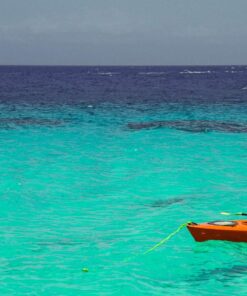 Skog Å Kust SandSåk 2-in-1 PWC Anchor & Dry Bag Yellow 26 710Yf5Lx0ZL