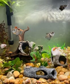 Laifoo 5ft Aquarium Siphon Vacuum Cleaner for Fish Tank Cleaning Gravel & Sand 27 710cXw6WWFL