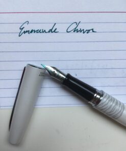 PILOT MR Animal Collection Fountain Pen in Gift Box, Matte White Barrel with White Tiger Accent, Fine Point Stainless Steel Nib, Refillable Black Ink (91141) 1 Count (Pack of 1) 20 710iCXGDiVL