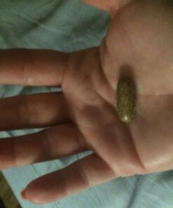 Garden of Life Mykind Organics Prenatal Vegan Whole Food Multivitamin Tablets, Folate not Folic Acid & Stomach Soothing Blend for Women, Peppermint, 180 Count 180 Count (Pack of 1) 42 710knab7qbL