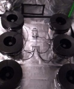 HTG Supply Bubble Brothers DWC Hydroponic System - 6-Site Classic 12 710l9XYRpL