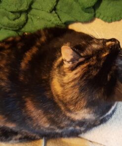 Pet Grooming Dog & Cat Brush For Shedding, Effective for Long & Short Hair Pet Grooming Tool, Reduces Dogs and Cats Shedding Hair By More Than 95%, The Professional Deshedding Tool 34 710mYiMsNgL