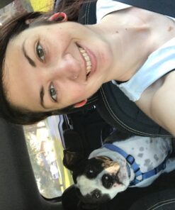 Leash Boss Dog Car Seat Belt Restraint - No-Chew Heavy Duty Car Seatbelt for Pets - 5 Sizes - Coated Steel Rope to Prevent Chewing (31 in) Black - 1-Pack 31in 35 710n7 QzUjL