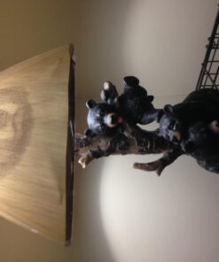 Zeckos Rustic Black Bear Family Table Lamp - Lodge-Inspired Home Lighting - 20" Tall Resin Construction - Charming Bear Face Print Shade - Ideal for Cabins and Dens 20 710o599AvwL