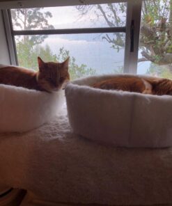 K. T. Manufacturing Mysterious Kuddle Kup Cat Bed, White 25 710oLaSqnsL