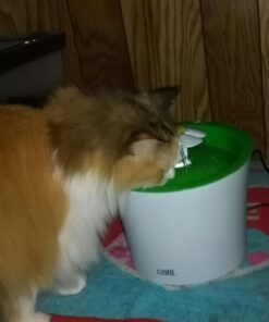 Catit Replacement 3 pack Carbon & Foam Cartridge for Fresh & Clear Water Fountain 1 White 32 710oZBXxBL