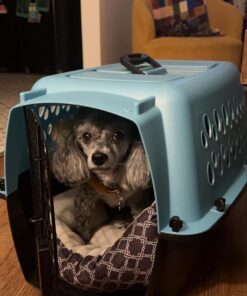 Petmate Fashion Vari Indoor Kennel, 24", for Dogs 10-20 Lbs, Light Blue, Made in USA 24.1"L x 14.5"W x 14.5"H 18 710p30R1UgL