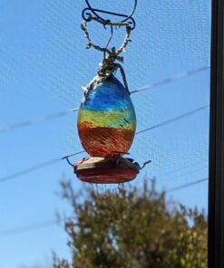 Kaytee Hummingbird ElectroNectar Wild Bird Food, Ready to Use, 64 Ounces 64 oz Ready To Use 29 710r4KO VL