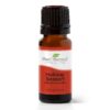 Plant Therapy Holiday Season Synergy Essential Oil 10 mL (1/3 oz) 100% Pure, Undiluted, Therapeutic Grade 5 710srEhaSS