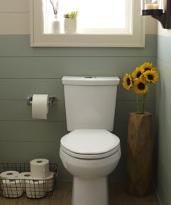 American Standard 2887518.020 H2Option Siphonic Dual Flush Normal Height Elongated Toilet with Liner, White, 2-Piece 9 710vMzFUGjL 1
