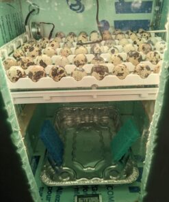 Little Giant® Quail Rails | 120 Eggs | Turner Equipment for Incubating Small Eggs | Quail Egg Incubator 21 710xGAsb0L