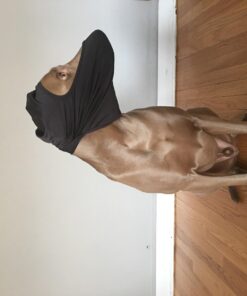 SUNLAND Black Balaclava Motorcycle Cycling Bike Bandana Hiking Skateboard Head Sock Large 33 710zEGTTqRL