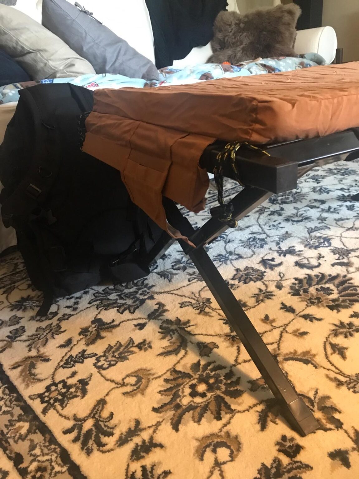 TETON Sports Camping Cot With Patented Pivot Arm Folding Camping Cot