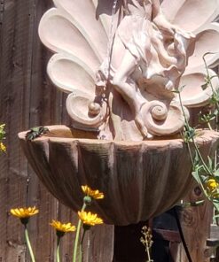 EasyCare FounTec Algaecide and Clarifier, 8 oz. Bottle 15 7111CKfx4OL