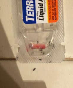 Terro Outdoor Liquid Ant Baits 6 Bait Stations Pack of 2 4 7111UT0wl6L