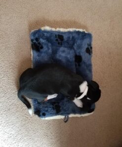MidWest Homes for Pets Reversible Paw Print Pet Bed in Blue / White, Dog Bed Measures 17L x 11W x 1.5H for 'Tiny' Dog Breed, Machine Wash 17.0"L x 11.0"W x 1.5"Th 26 7111ZTvm8VL