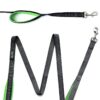 Mighty Paw Dual Handle Dog Leash - Reflective Lead with Two Handles - Dual Dog Leash Long - 2 Handle Dog Lead - Dog Leash with Traffic Loop Dog Leash 6 Foot (Grey/Green) Grey/Green 6 7113DOMaUL