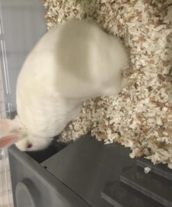 Living World - Deluxe Hybrid Habitat, X-Large - Rabbit, Guinea Pig, Chinchillas, and Small Animal Cage 46.9"L x 22.8"W x 24.0"H Standard Packaging 33 71168vE51IL