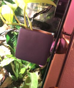 DIYMAG Powerful Neodymium Disc Magnets with Double-Sided Adhesive, Strong Permanent Rare Earth Magnets for Fridge, DIY, Building, Scientific, Craft, and Office Magnets, 1.26 inch Diameter, Pack of 6 32x3 6P 32 7116Z46M7IL