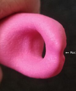 DuraScoop® Premium Multicat Cat Litter Scoop | Solid Metal | Litter Box Tray Pan Sifter Random Color 66 7117PGrd2DL