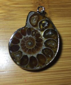 JOYA GIFT Charm Handmade Natural Conch Fossil Ammonite By Silver Wrapped Pendant Necklace (1 PCE). 40 7117Z3gxgML